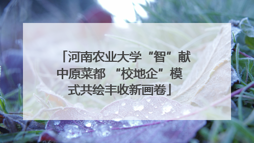 河南农业大学“智”献中原菜都 “校地企”模式共绘丰收新画卷