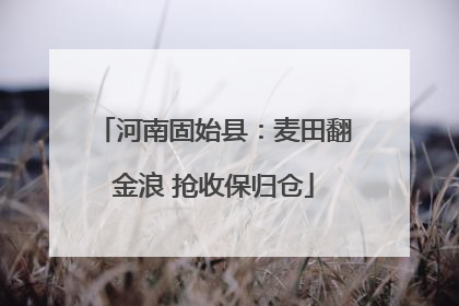 河南固始县：麦田翻金浪 抢收保归仓
