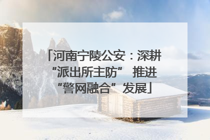 河南宁陵公安：深耕“派出所主防” 推进“警网融合”发展