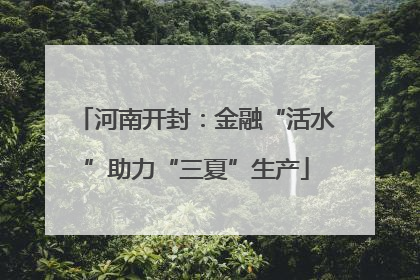 河南开封：金融“活水”助力“三夏”生产