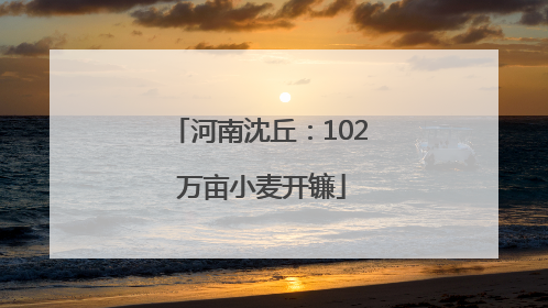 河南沈丘：102 万亩小麦开镰