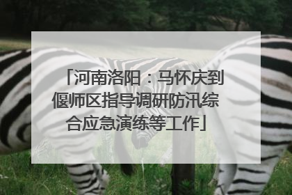 河南洛阳：马怀庆到偃师区指导调研防汛综合应急演练等工作