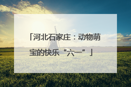 河北石家庄：动物萌宝的快乐“六一”