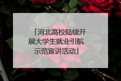 河北高校陆续开展大学生就业引航示范宣讲活动