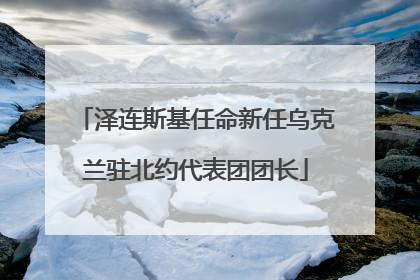 泽连斯基任命新任乌克兰驻北约代表团团长