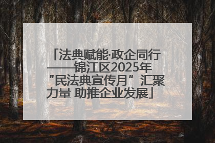 法典赋能·政企同行——锦江区2025年“民法典宣传月”汇聚力量 助推企业发展
