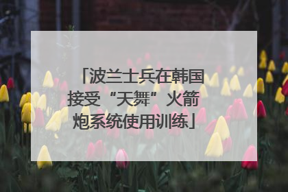 波兰士兵在韩国接受“天舞”火箭炮系统使用训练