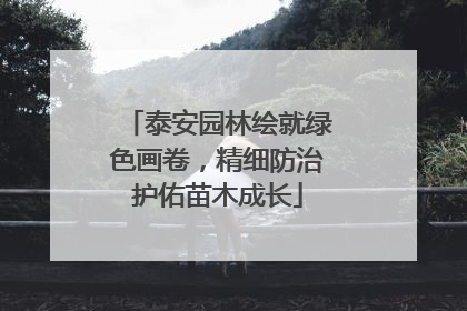 泰安园林绘就绿色画卷，精细防治护佑苗木成长