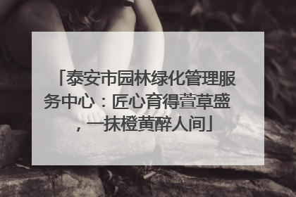 泰安市园林绿化管理服务中心：匠心育得萱草盛，一抹橙黄醉人间