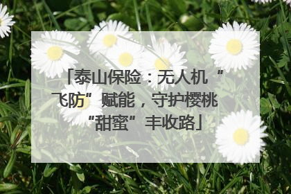 泰山保险：无人机“飞防”赋能，守护樱桃“甜蜜”丰收路