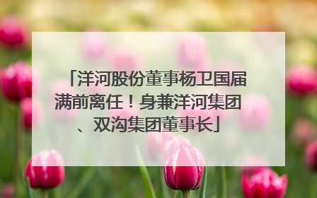 洋河股份董事杨卫国届满前离任！身兼洋河集团、双沟集团董事长