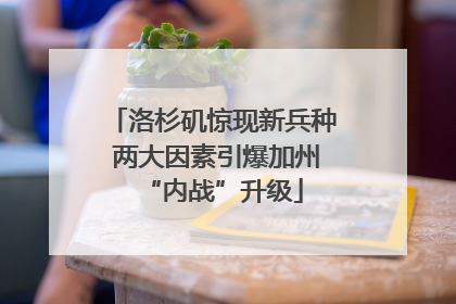 洛杉矶惊现新兵种 两大因素引爆加州“内战”升级