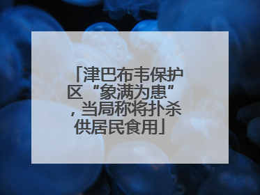 津巴布韦保护区“象满为患”，当局称将扑杀供居民食用