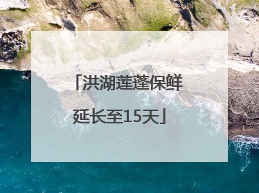 洪湖莲蓬保鲜延长至15天