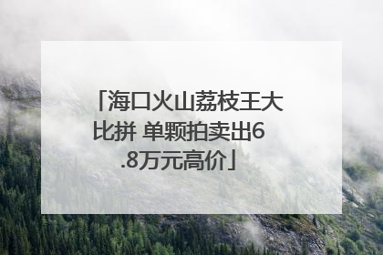 海口火山荔枝王大比拼 单颗拍卖出6.8万元高价