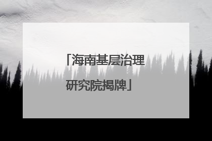 海南基层治理研究院揭牌