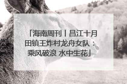海南周刊丨昌江十月田镇王炸村龙舟女队：乘风破浪 水中生花