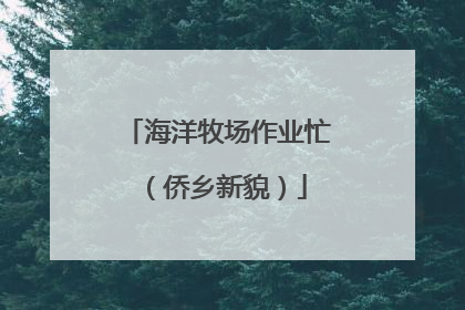 海洋牧场作业忙（侨乡新貌）