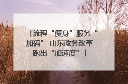 流程“瘦身”服务“加码” 山东政务改革跑出“加速度”