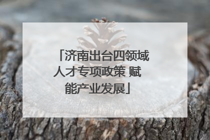 济南出台四领域人才专项政策 赋能产业发展