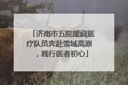 济南市五院援藏医疗队员奔赴雪域高原，践行医者初心