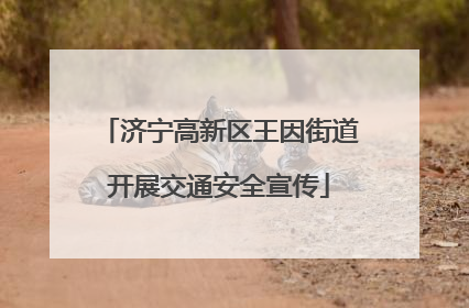 济宁高新区王因街道开展交通安全宣传