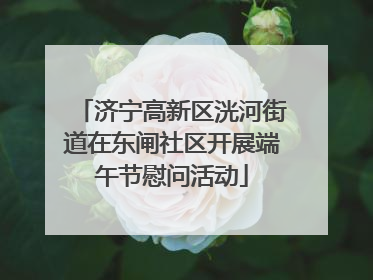 济宁高新区洸河街道在东闸社区开展端午节慰问活动