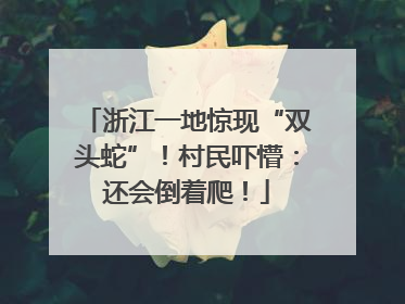 浙江一地惊现“双头蛇”！村民吓懵：还会倒着爬！