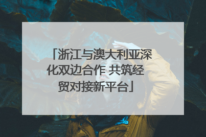 浙江与澳大利亚深化双边合作 共筑经贸对接新平台