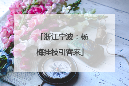 浙江宁波：杨梅挂枝引客来