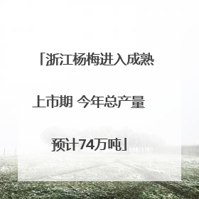 浙江杨梅进入成熟上市期 今年总产量预计74万吨