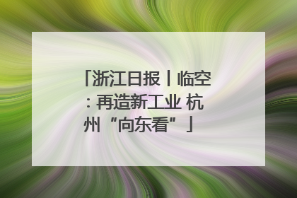 浙江日报丨临空：再造新工业 杭州“向东看”
