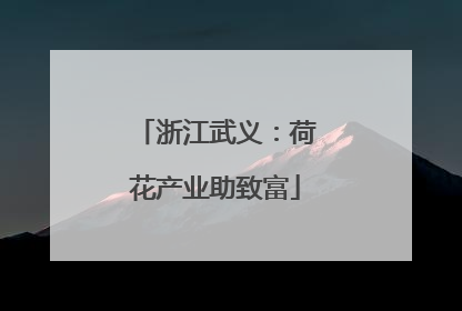 浙江武义：荷花产业助致富