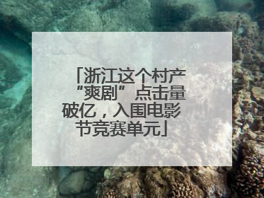 浙江这个村产“爽剧”点击量破亿，入围电影节竞赛单元