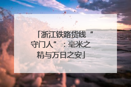浙江铁路货线“守门人”：毫米之精与万日之安