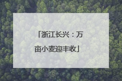 浙江长兴：万亩小麦迎丰收