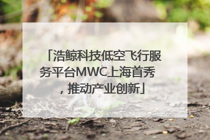 浩鲸科技低空飞行服务平台MWC上海首秀，推动产业创新