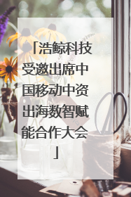 浩鲸科技受邀出席中国移动中资出海数智赋能合作大会