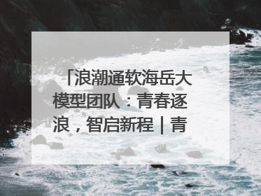 浪潮通软海岳大模型团队：青春逐浪，智启新程｜青春思政课