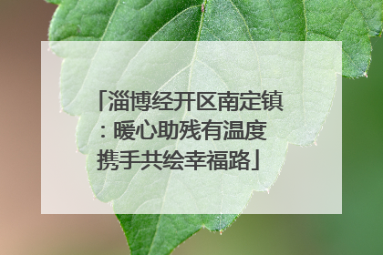 淄博经开区南定镇：暖心助残有温度 携手共绘幸福路