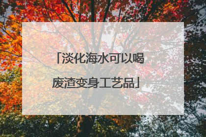 淡化海水可以喝 废渣变身工艺品