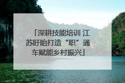 深耕技能培训 江苏盱眙打造“职”通车赋能乡村振兴