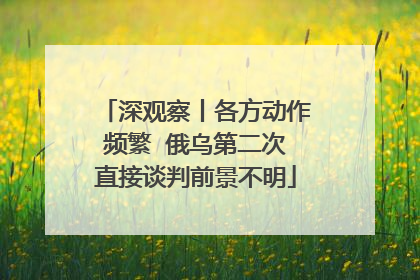 深观察丨各方动作频繁  俄乌第二次直接谈判前景不明