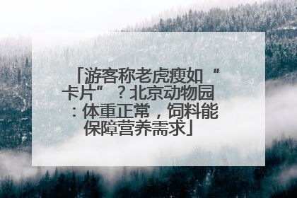 游客称老虎瘦如“卡片”？北京动物园：体重正常，饲料能保障营养需求
