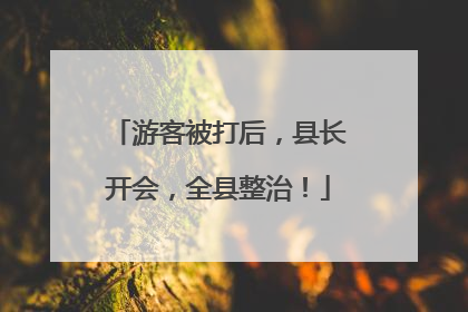 游客被打后，县长开会，全县整治！