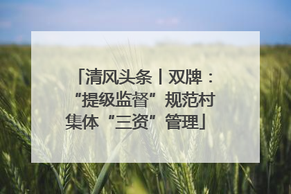 清风头条丨双牌：“提级监督”规范村集体“三资”管理