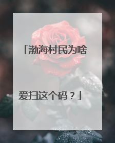 渤海村民为啥爱扫这个码？