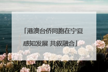 港澳台侨同胞在宁夏感知发展 共叙融合