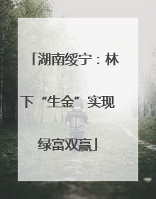 湖南绥宁：林下“生金”实现绿富双赢