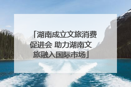 湖南成立文旅消费促进会 助力湖南文旅融入国际市场